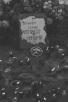 Audycja wigilijna