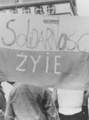 Trzy audycje z 1982 r.
